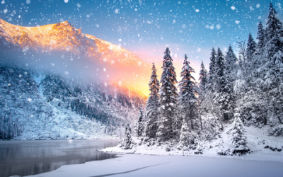 Winter Newsletter 22/23