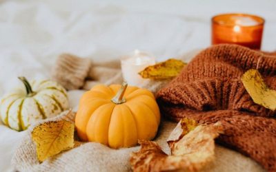 Autumn Newsletter 2026